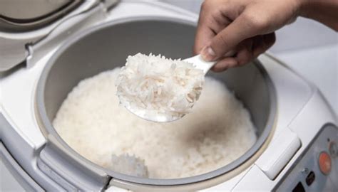 What is the ratio of water to rice for a rice cooker?